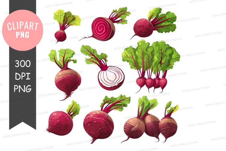Beet Clipart Image 11