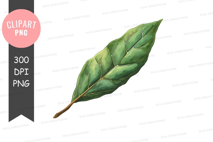 Leaf Clipart Image 16