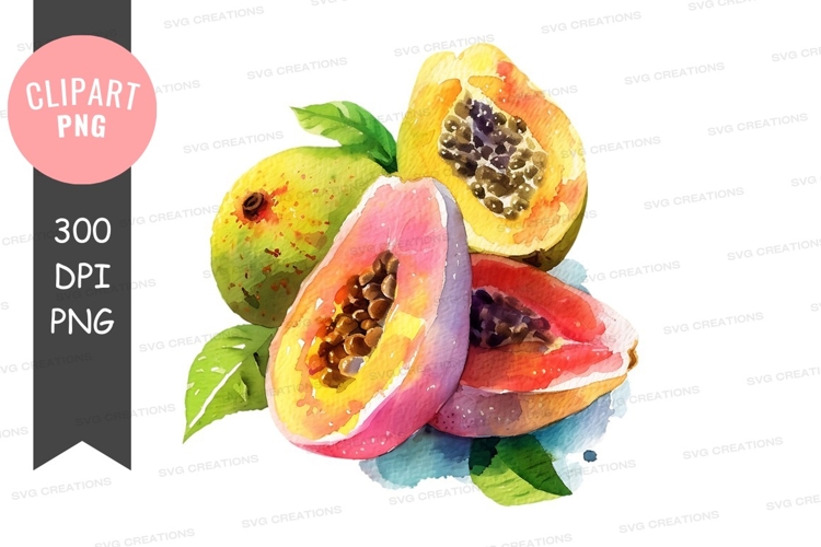Watercolor illustration of papayas