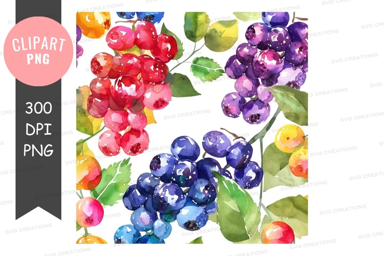 Grapes Png Image 14