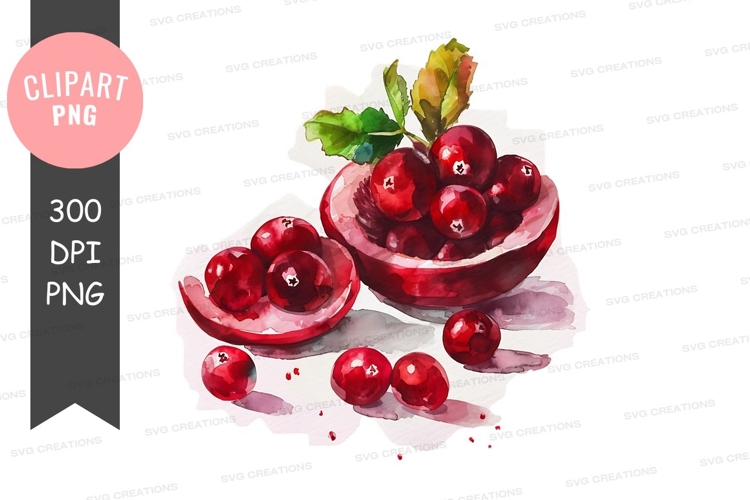Fruit Illustration Image 15