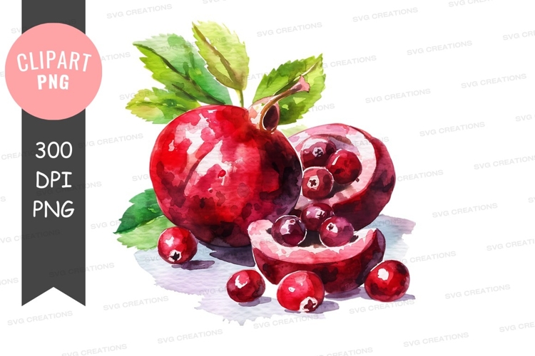 Pomegranate Png Image 6