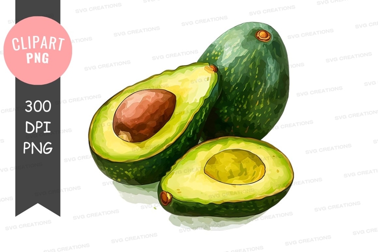 Avocado Illustration Image 24