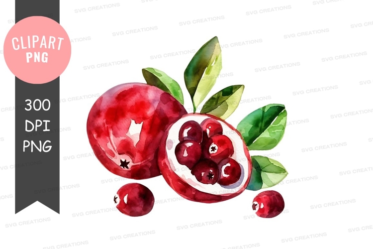 Pomegranate Png Image 4
