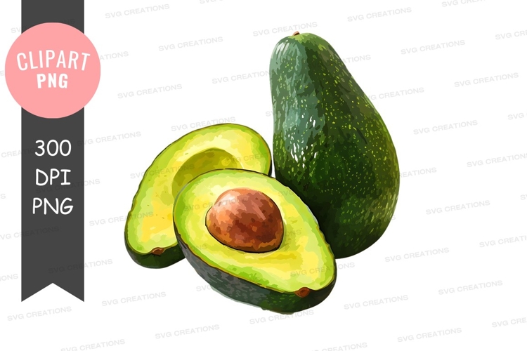 Avocado Clipart Image 14