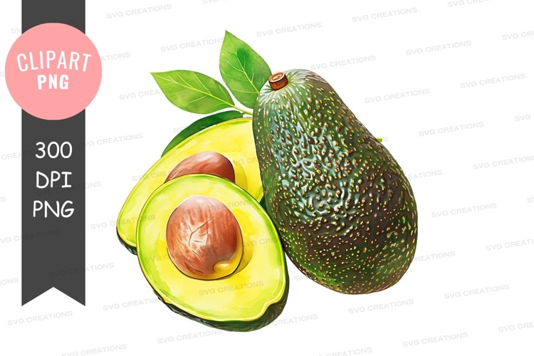 Avocado Clipart Image 13