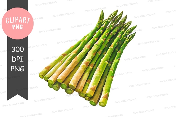 Vegetables PNG Image 22