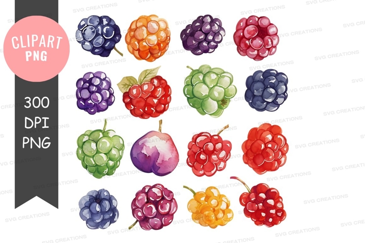 Blackberries Png Image 13