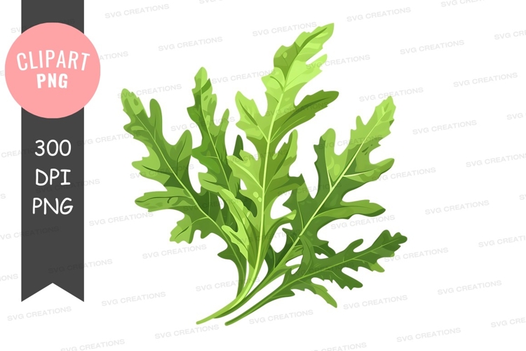 Vegetables PNG Image 21