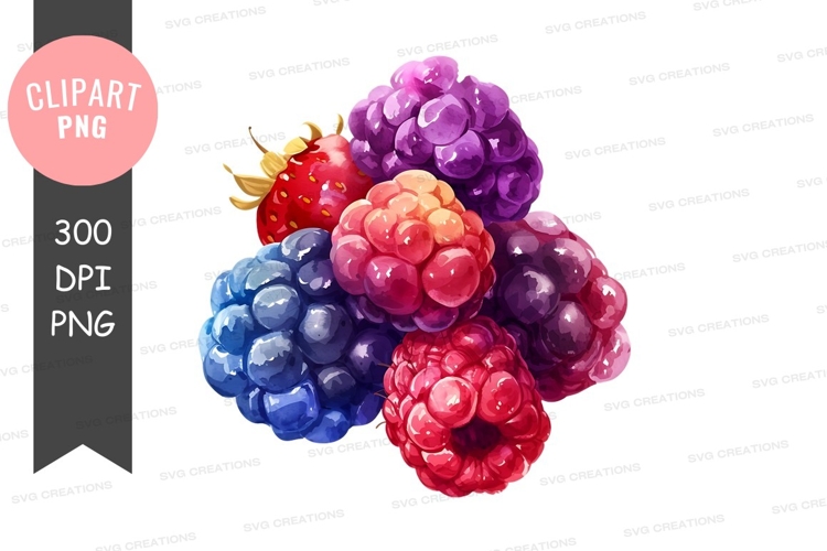 Blackberry Clipart Image 15
