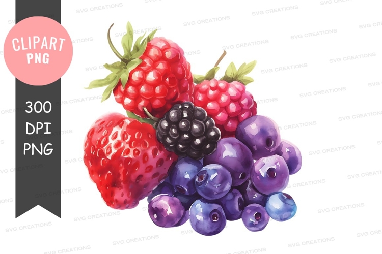 Blackberries Png Image 17