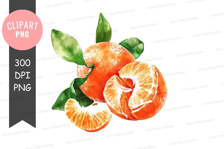 Citrus Clipart Image 22