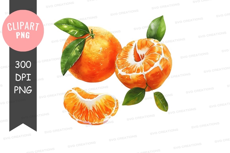 Vibrant oranges clipart png