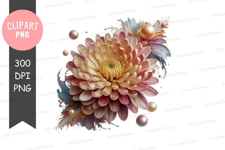 Seashells Png Image 7