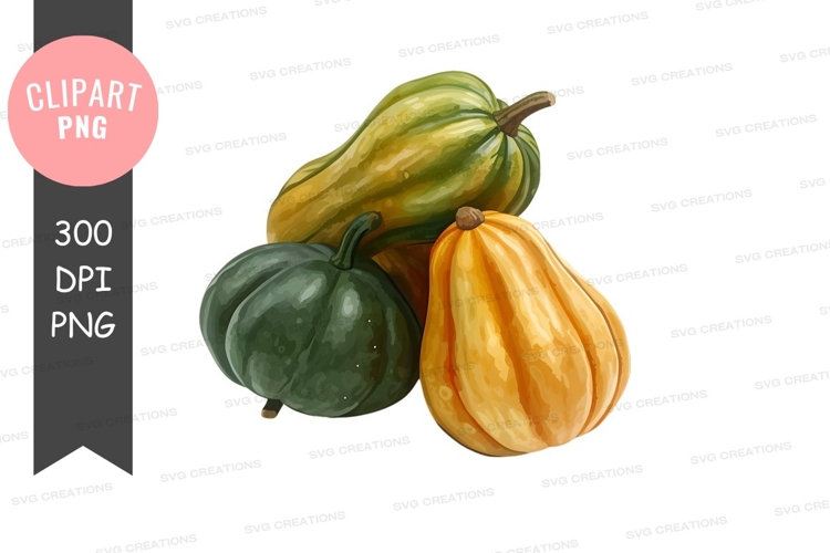 Squash Clipart Image 16