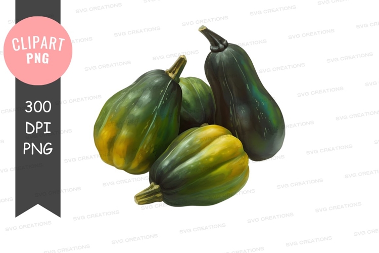 Three acorn squashes clipart png