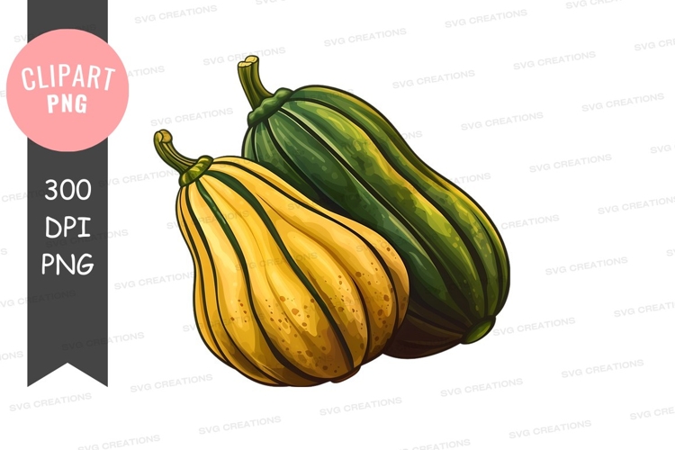 Squash Clipart Image 14