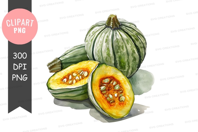 Squash Clipart Image 3