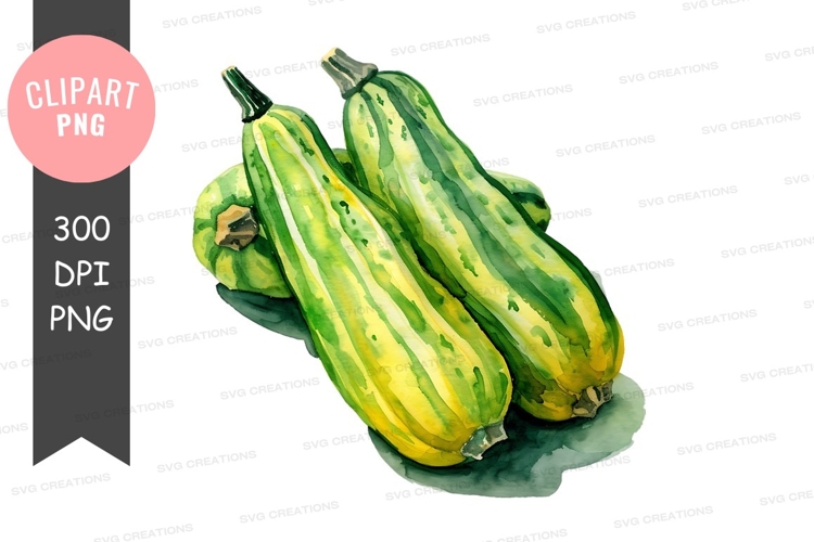 Zucchini Clipart Image 4