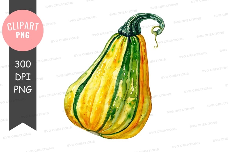 Squash Clipart Image 5