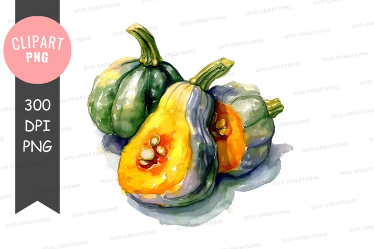 Squash Clipart Image 18