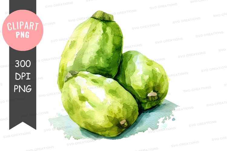 Fruit Illustration Image 12