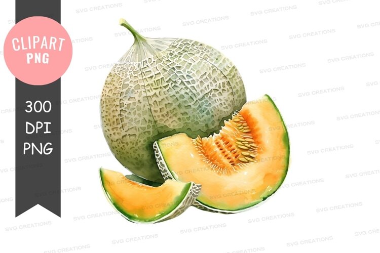 Fresh cantaloupe melon example image 1