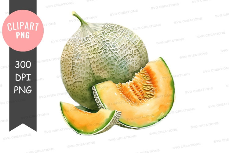 Fresh cantaloupe melon