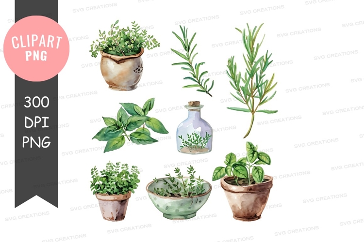 Potted Plants Png Image 9