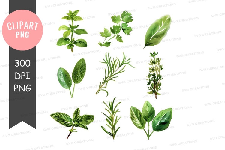 Herbs clipart png