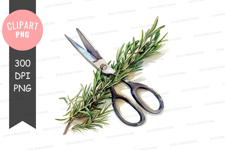 Scissors cutting rosemary