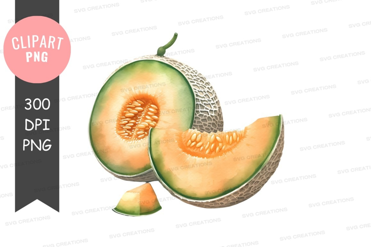 Fresh cantaloupe slices