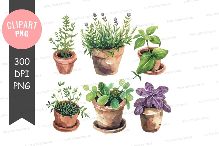 Potted Plants Png Image 14