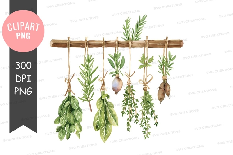 Lavender Png Image 8