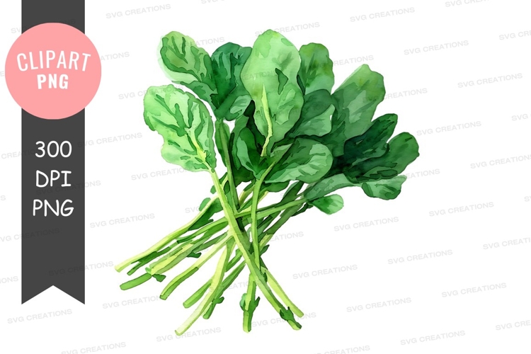 Vegetables PNG Image 23