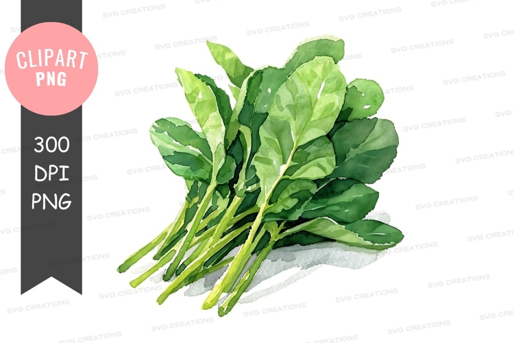 Vegetables PNG Image 20