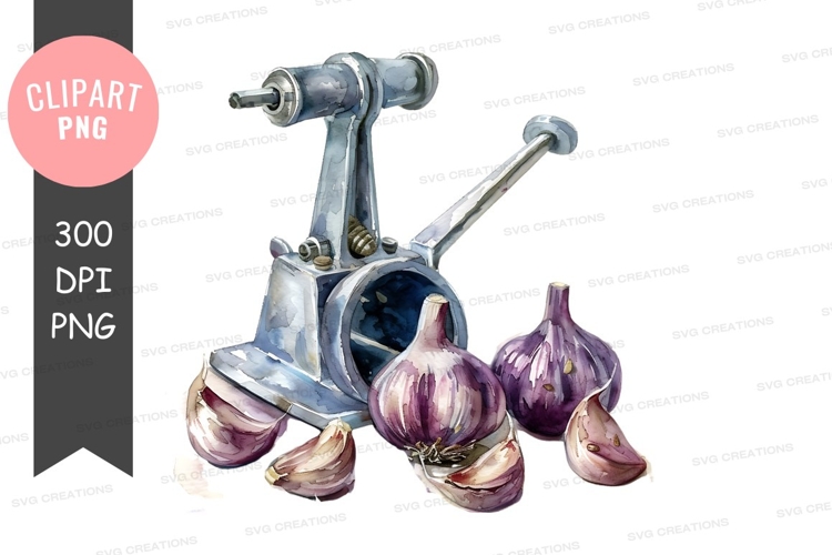 Garlic Clipart Image 7