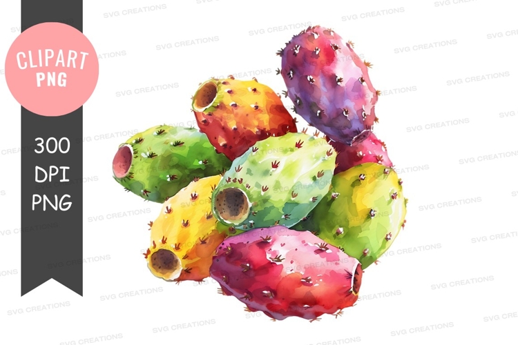Cactus Clipart PNGs Image 24