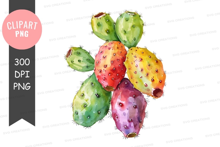 Cactus Clipart PNGs Image 23