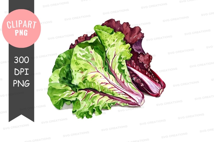 Salad Clipart Image 13