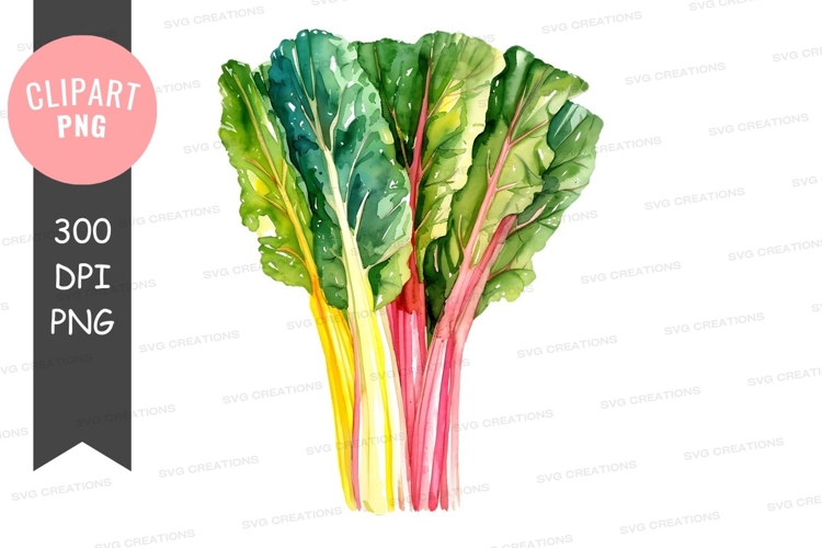 Vegetables PNG Image 11