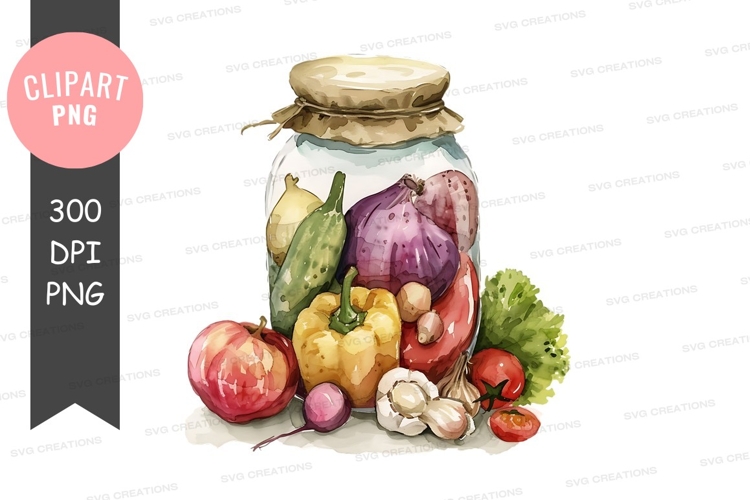 Garlic Illustration Image 8