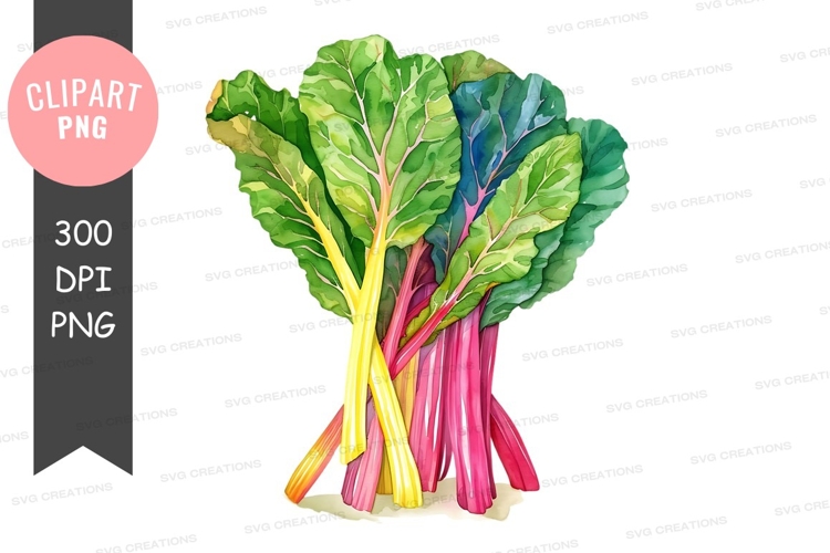 Vegetables PNG Image 6