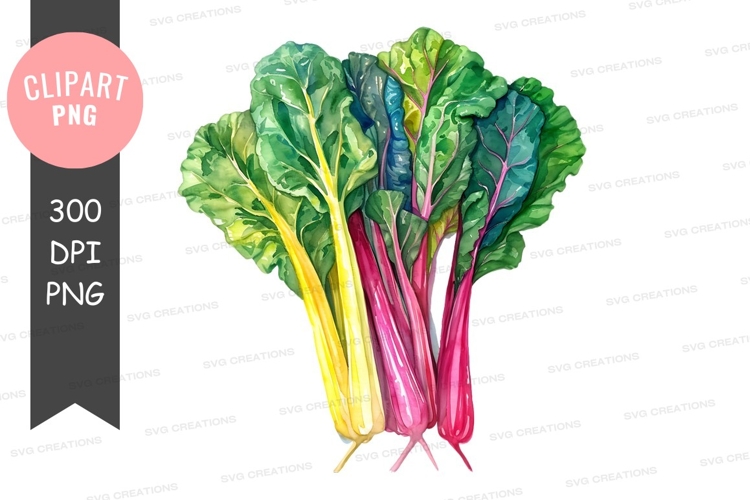 Vegetable Illustration Image 16