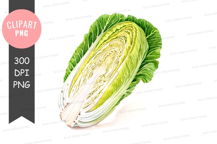 Vegetables PNG Image 4