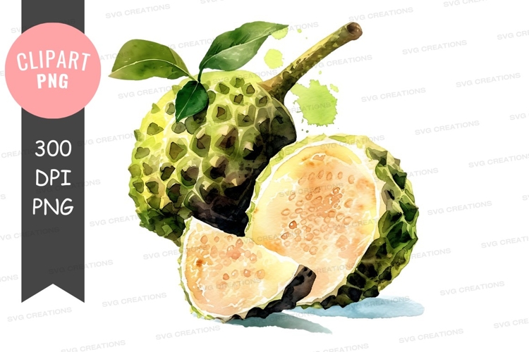 Sugar apple clipart png