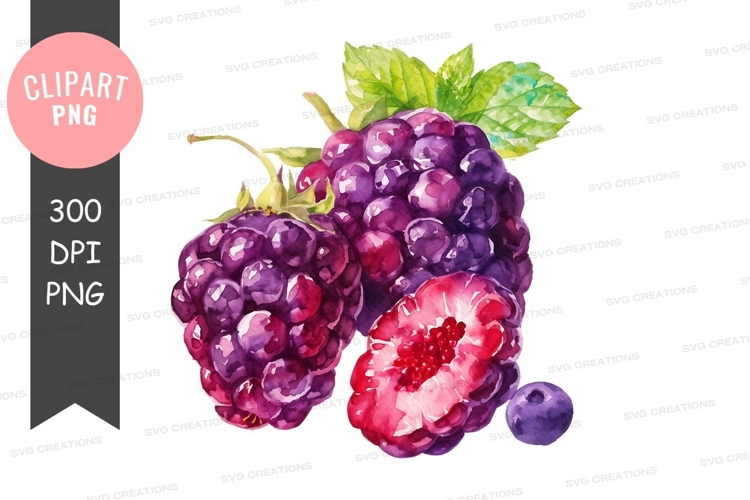 Nature Illustration Image 15