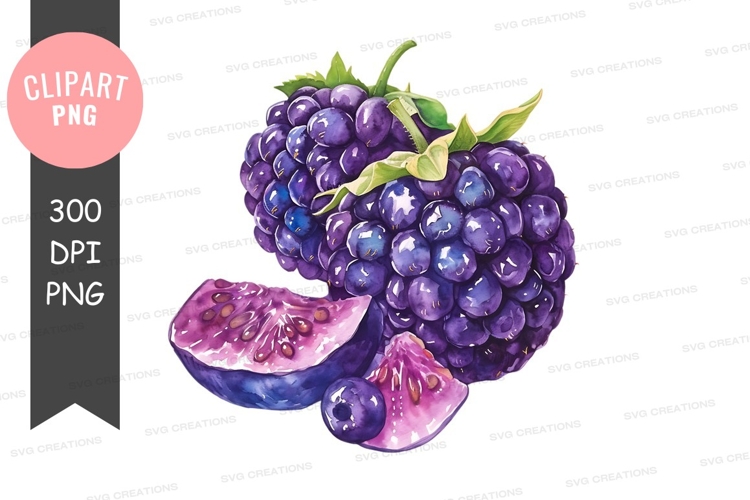 Blackberries Png Image 9