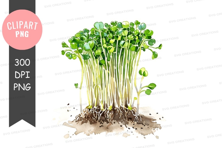 Grow Clipart Image 17