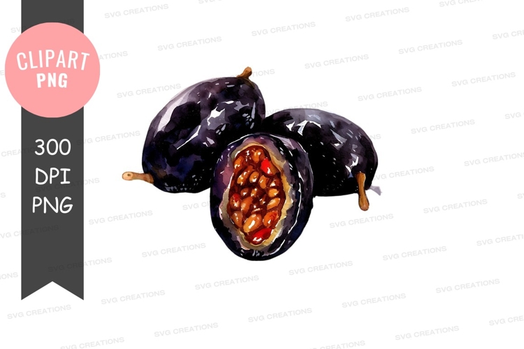 Fruit Illustration Image 13